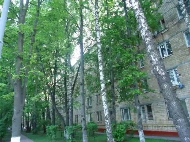 1-к кв. Московская область, Химки 9 Мая ул., 1 (24.0 м) - Фото 1