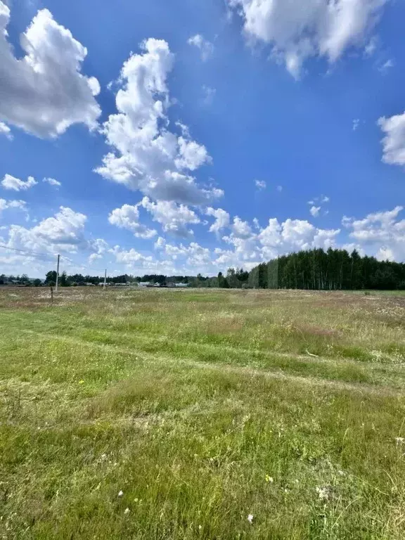 Участок в Марий Эл, Звенигово городское поселение, д. Чуваш-Отары ул. ... - Фото 1