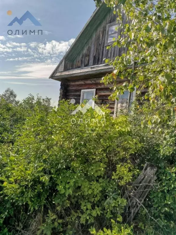 Дом в Вологодская область, д. Зуево  (47 м) - Фото 1