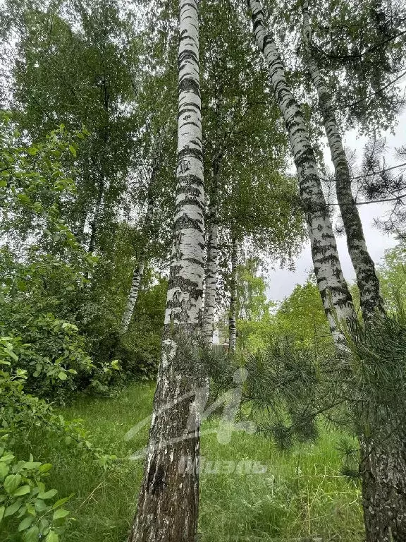 Продается участок в с. Быково - Фото 2
