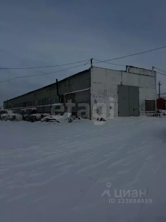 Склад в Ямало-Ненецкий АО, Новый Уренгой Железнодорожная ул., 90 (1079 ... - Фото 1