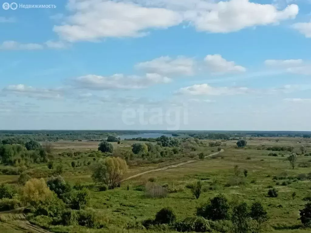 Участок в Владимирская область, округ Муром, село Панфилово (14.8 м) - Фото 0