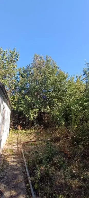 Дом в Ростовская область, Волгодонск Строитель СНТ, 6 массив, 175 (50 ... - Фото 1