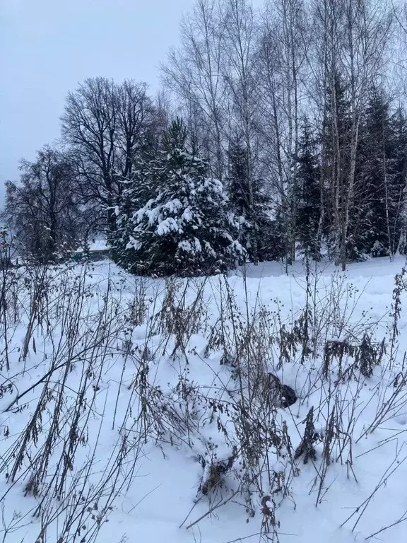 Участок в Московская область, Шаховская муниципальный округ, д. ... - Фото 2