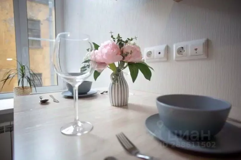 1-к кв. Санкт-Петербург Подольская ул., 1-3-5 (24.0 м) - Фото 2