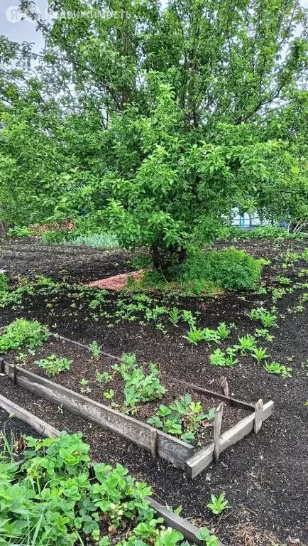 Участок в Екатеринбург, Варшавская улица (7 м) - Фото 0