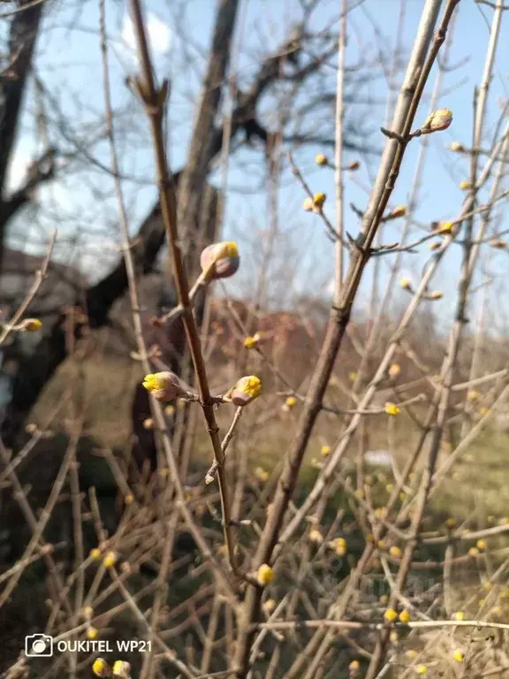 Участок в Ростовская область, Новочеркасск ул. Маяковского (9.0 сот.) - Фото 1