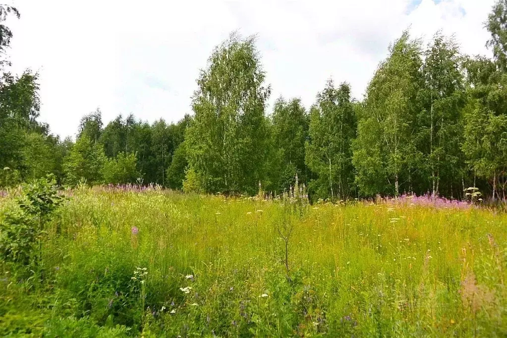 Участок в Московская область, Одинцовский городской округ, д. ... - Фото 0