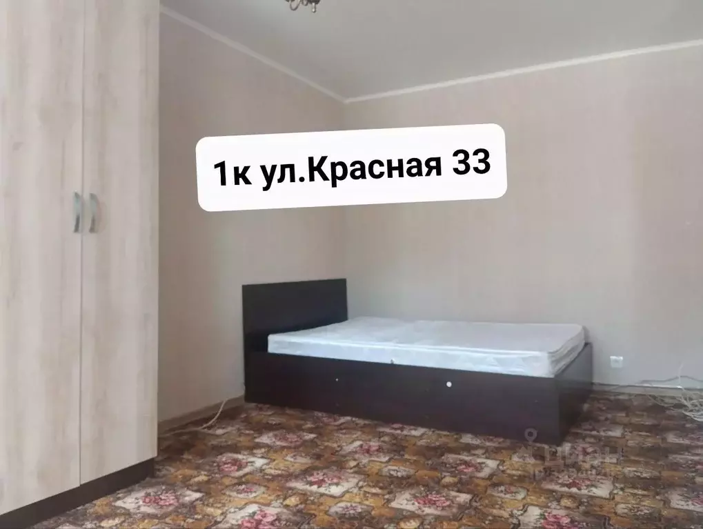 1-к кв. Пензенская область, Пенза Красная ул., 33/51 (33.0 м) - Фото 1