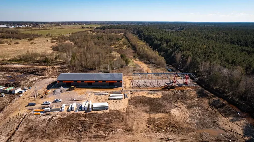 Склад в Ленинградская область, Ломоносовский район, Пениковское с/пос, ... - Фото 2