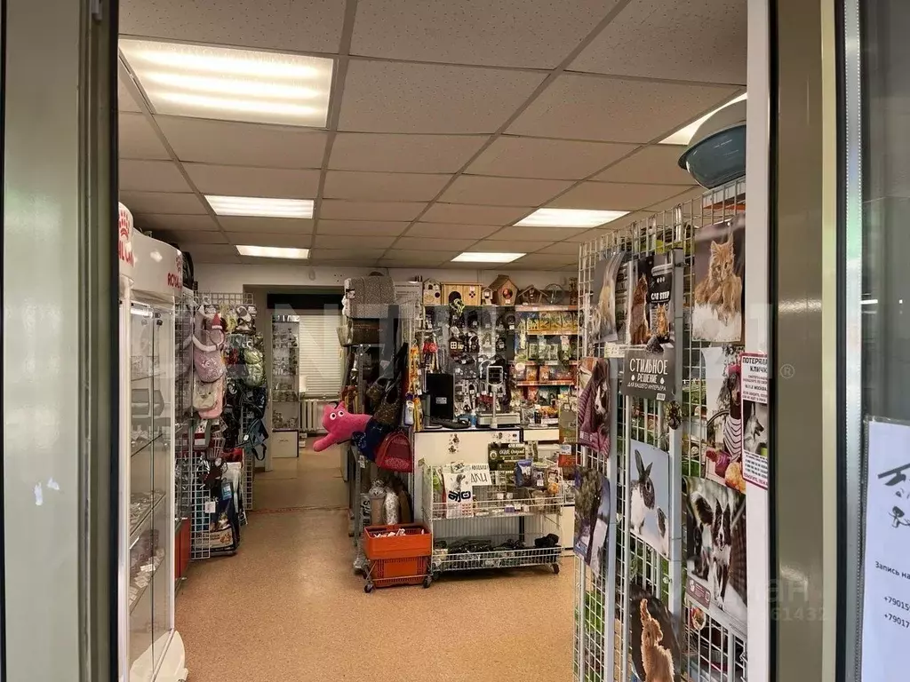Помещение свободного назначения в Москва Щелковское ш., 54 (80 м) - Фото 0