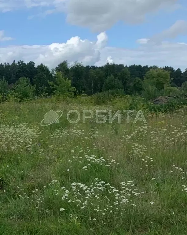 Участок в Тюменская область, Тюменский район, д. Малиновка пер. ... - Фото 1