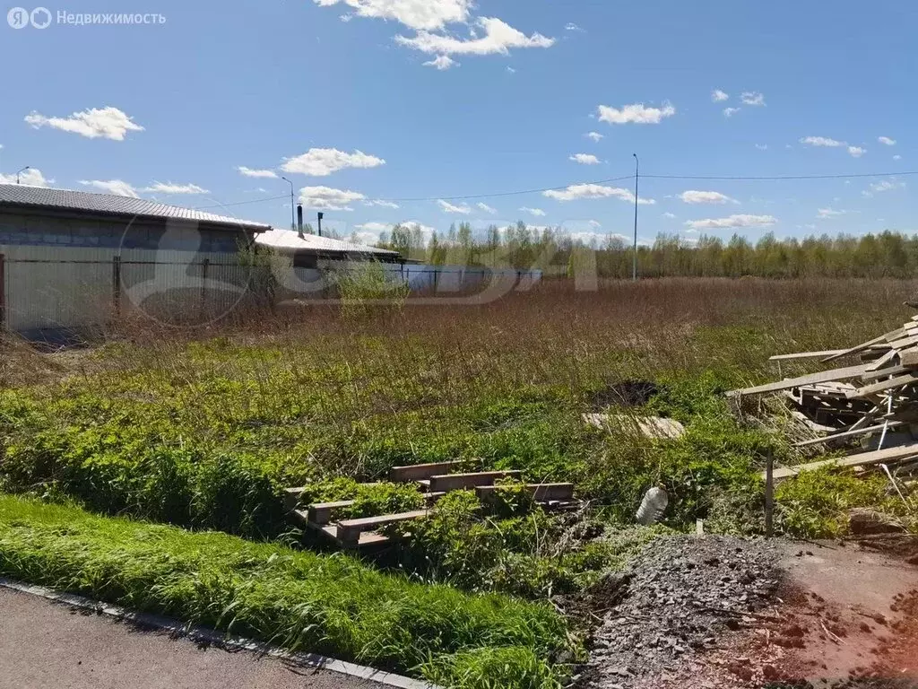 Участок в Тюменский муниципальный округ, село Червишево (15 м) - Фото 2
