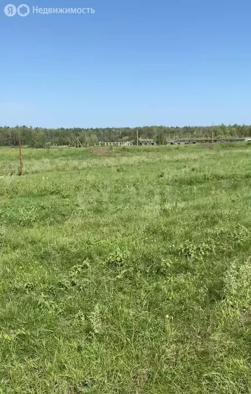 Участок в Искитимский район, деревня Бурмистрово (10 м) - Фото 2