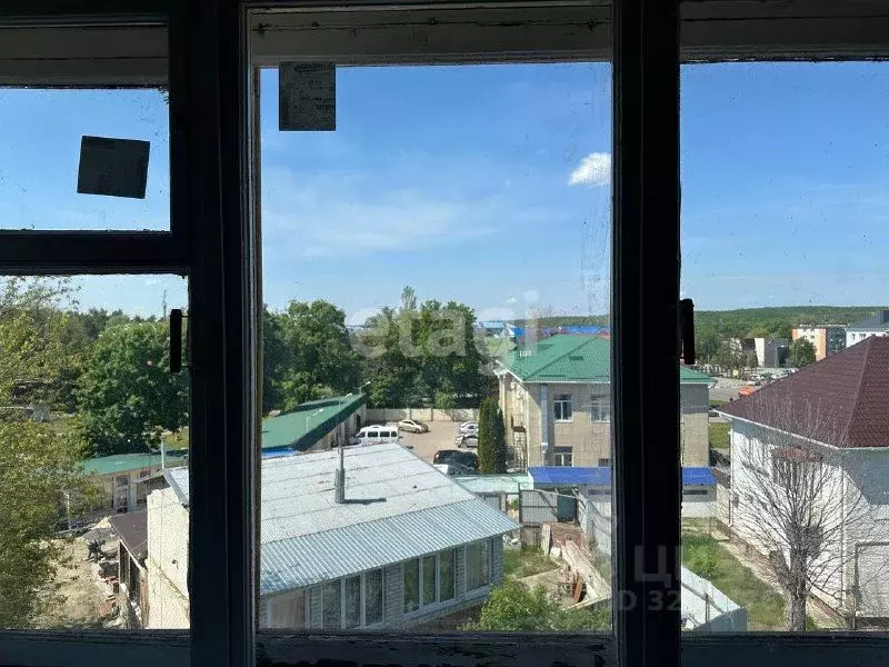 1-к кв. Белгородская область, Шебекино ул. Свободы, 34 (31.8 м) - Фото 0