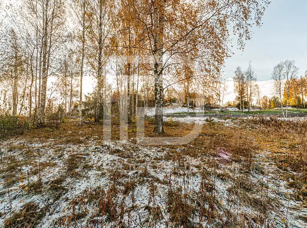 Участок в Ленинградская область, Всеволожский район, Бугровское ... - Фото 0