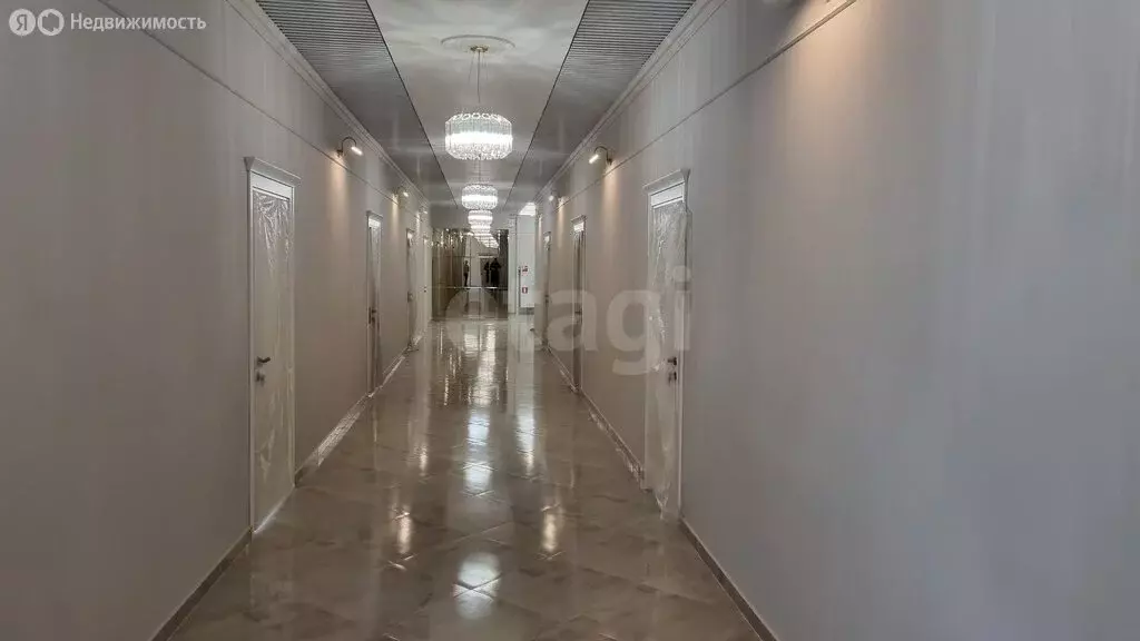 Офис (48.8 м) - Фото 2