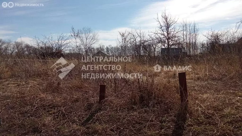 Участок в Рязанский муниципальный округ, село Тюшево (4.5 м) - Фото 2