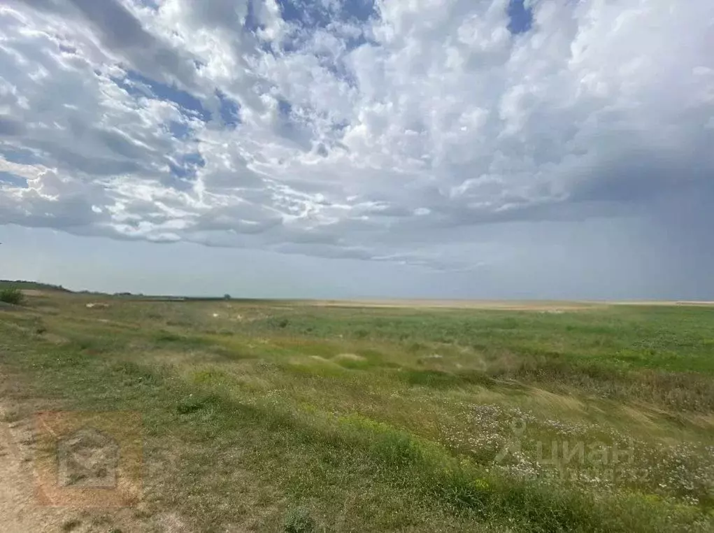 Участок в Крым, Раздольненский район, Березовское с/пос, с. Березовка  ... - Фото 0