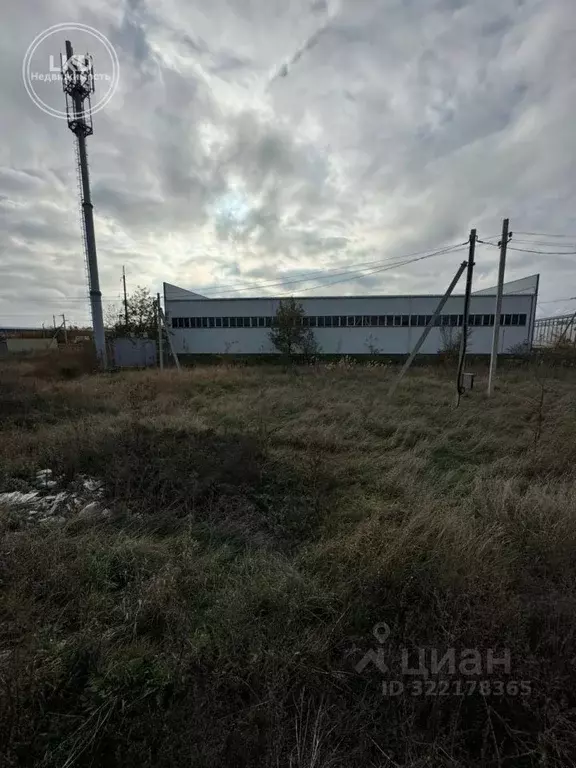 Участок в Краснодарский край, Динской район, Старомышастовская ст-ца ... - Фото 1