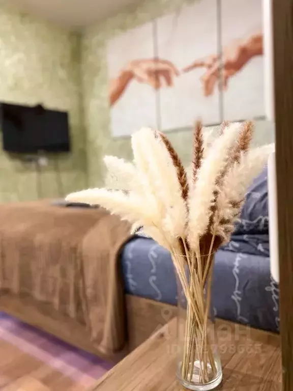 1-к кв. Московская область, Клин Новая ул., 3/5 (30.0 м) - Фото 1