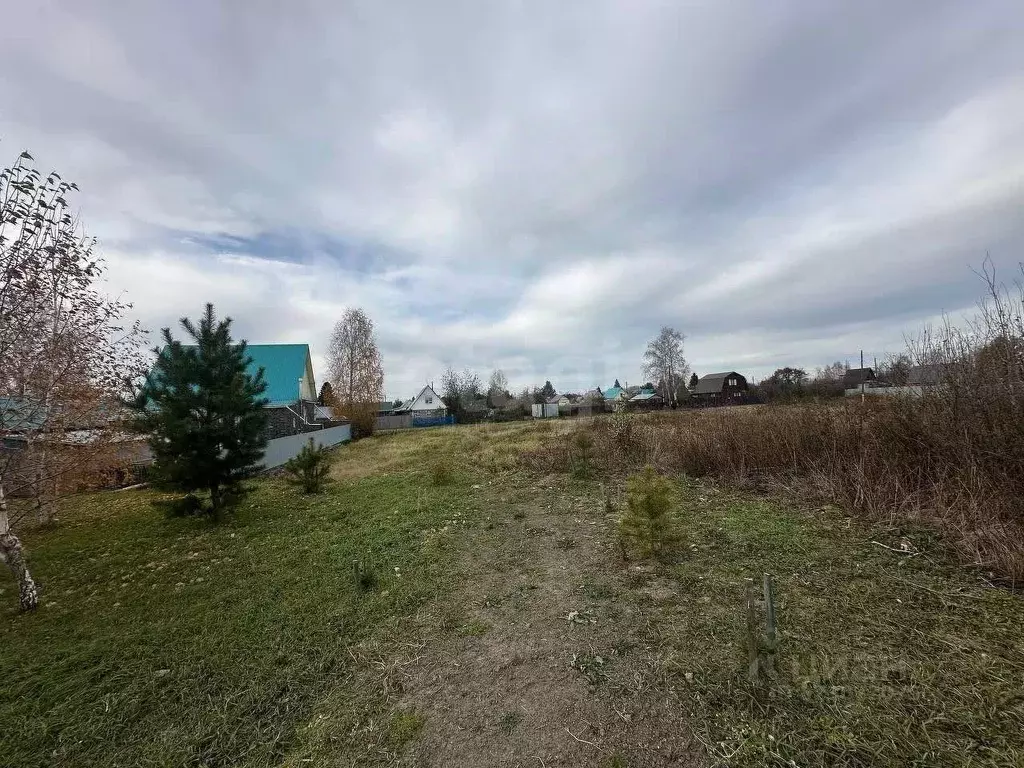 Участок в Тюменская область, Тюменский муниципальный округ, Северянка ... - Фото 1