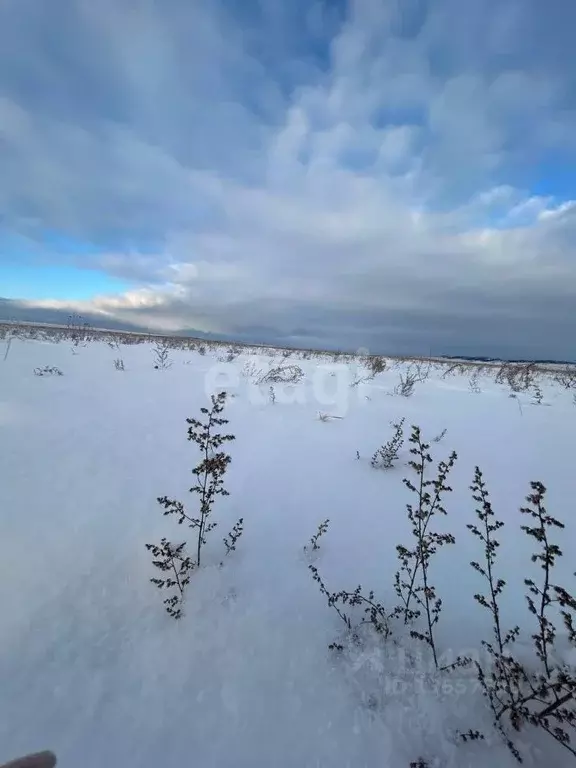 Участок в Иркутская область, Эхирит-Булагатский район, с. Кулункун  ... - Фото 0