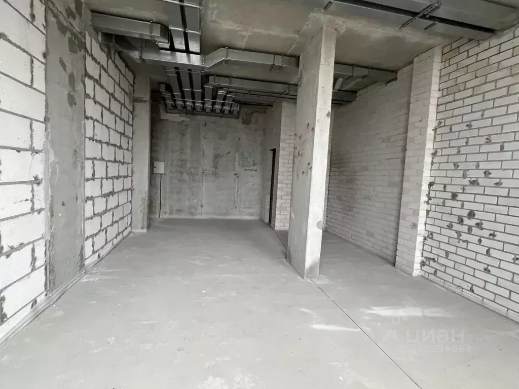 Помещение свободного назначения в Воронежская область, Воронеж ул. ... - Фото 1