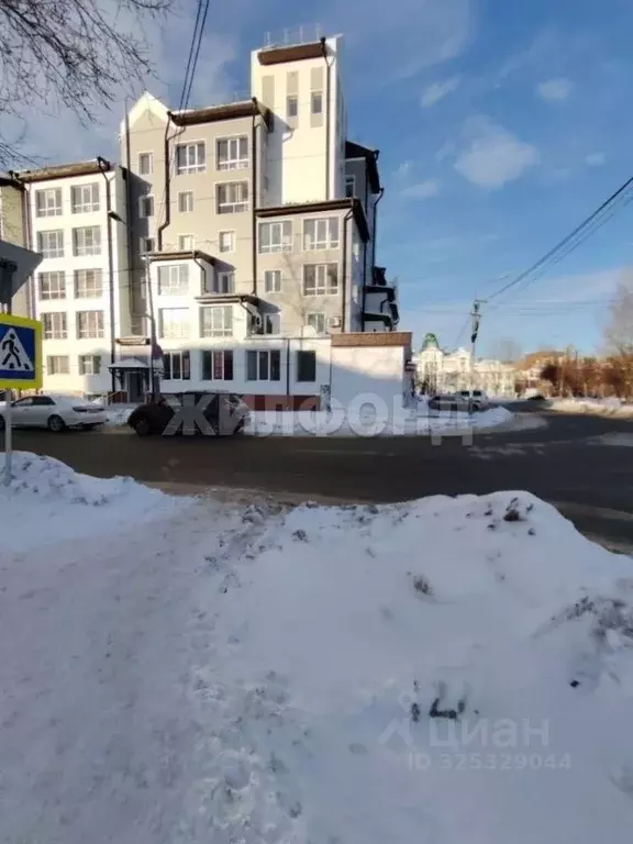 Помещение свободного назначения в Томская область, Томск ул. Пушкина, ... - Фото 2