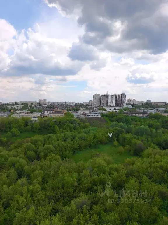 2-к кв. Липецкая область, Липецк Звездная ул., 4/1 (54.0 м) - Фото 1