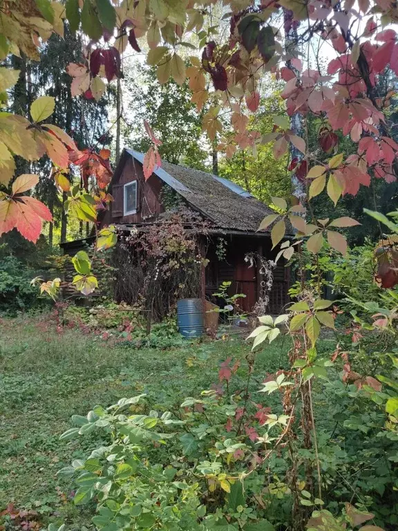 Дом в Московская область, Раменский муниципальный округ, Ильинский пгт ... - Фото 1