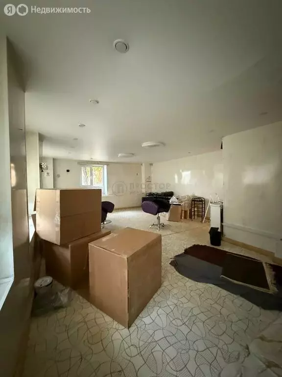 Помещение свободного назначения (220 м) - Фото 2