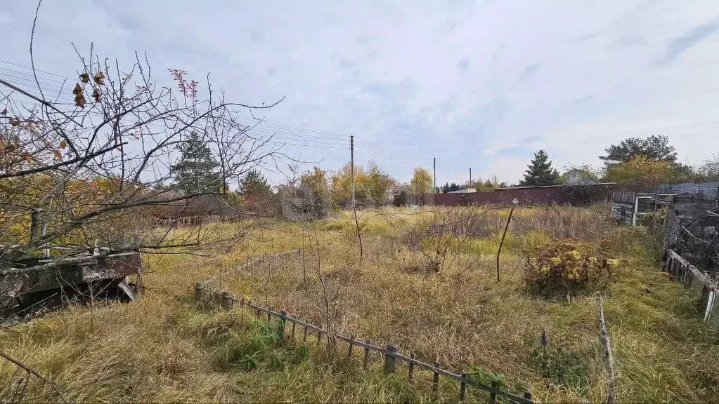 Участок в Воронежская область, Рамонский район, Новоживотинновское ... - Фото 1