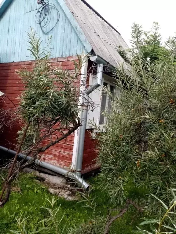 Дом в Новосибирская область, Искитимский район, Мичуринский сельсовет, ... - Фото 1