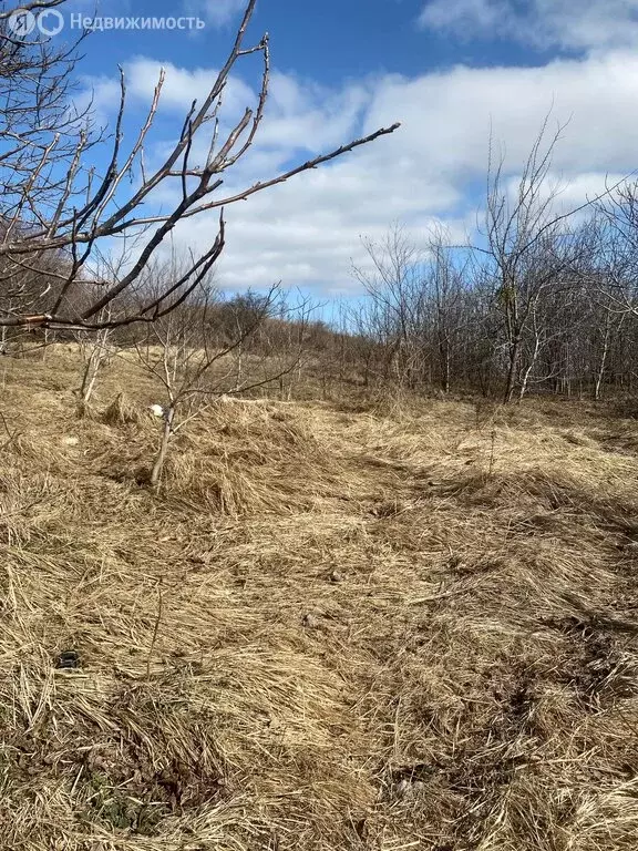 Участок в село Татарка, Первомайская улица, 7 (15 м) - Фото 1