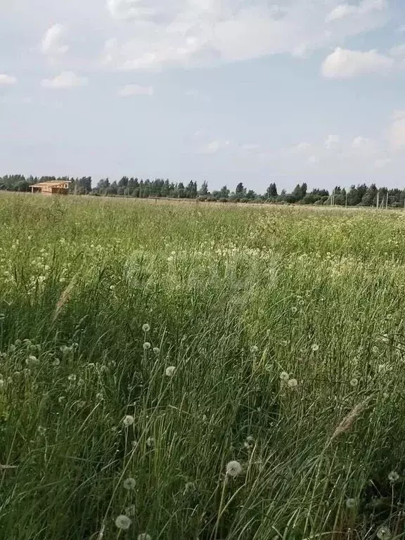 Участок в Костромская область, Кострома  (11.0 сот.) - Фото 1
