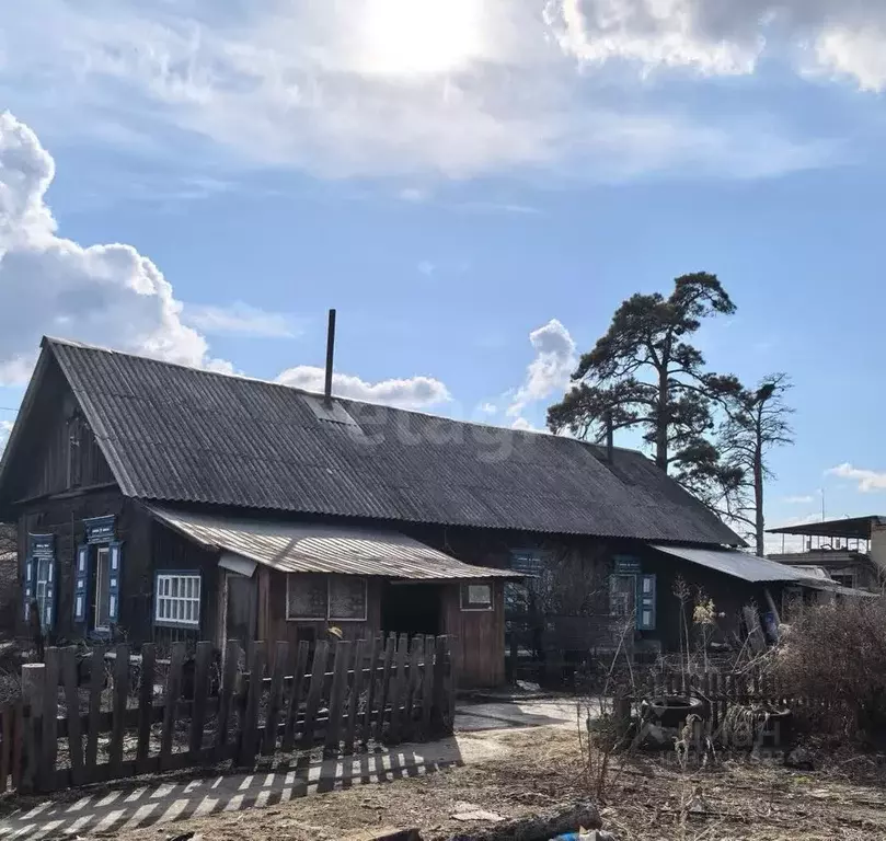 Дом в Амурская область, Белогорск Северная ул., 39 (120 м) - Фото 1