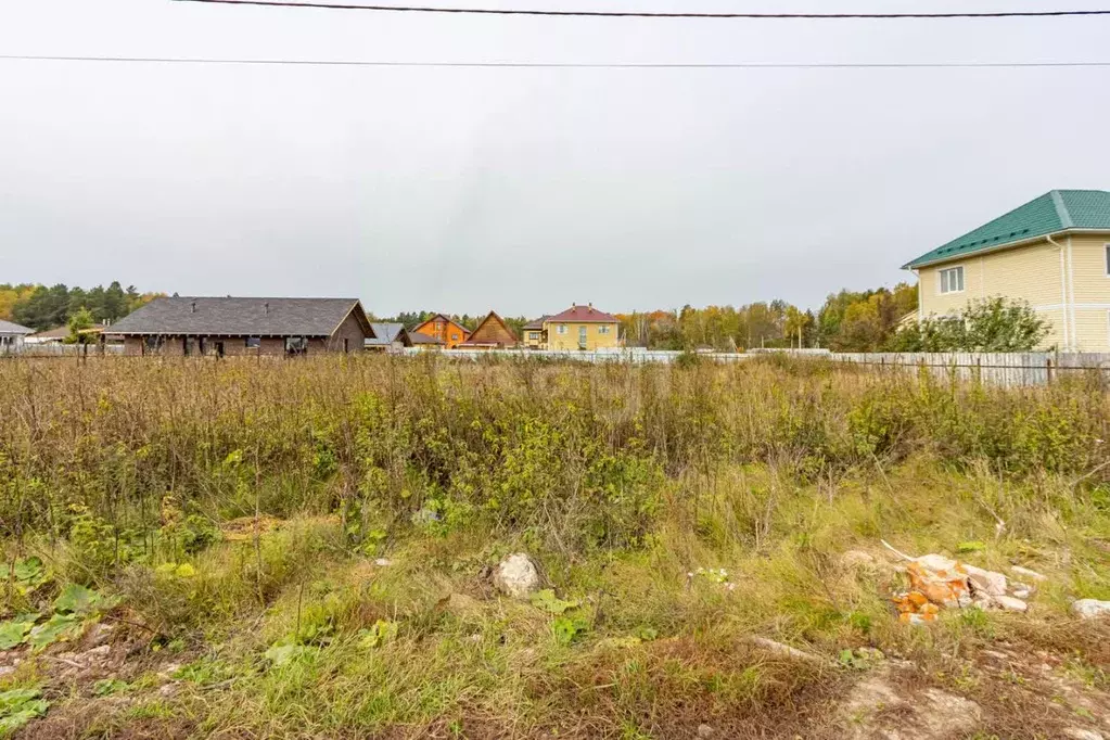 Участок в Тюменская область, Тюменский муниципальный округ, д. Ушакова ... - Фото 1