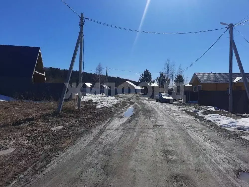 Участок в Новосибирская область, Новосибирский район, Кубовинский ... - Фото 2