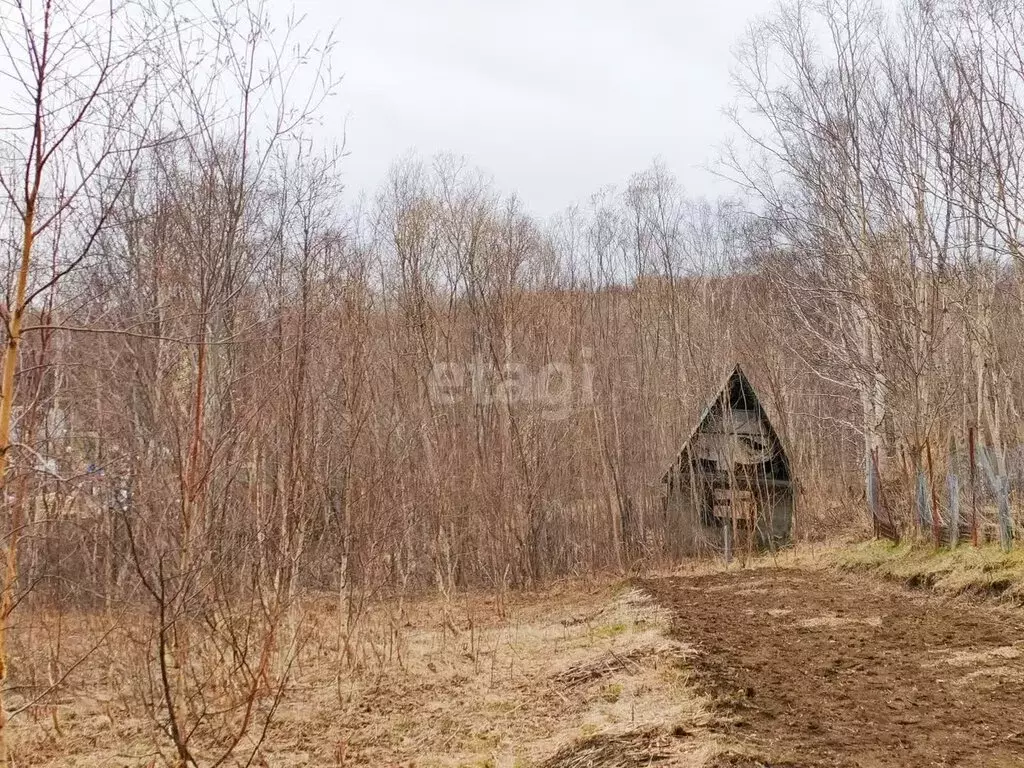 Участок в посёлок Пионерский, Дачная улица (10 м) - Фото 1