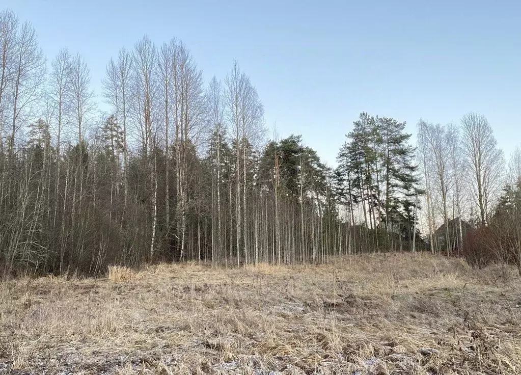 Участок в Ленинградская область, Выборгский район, Светогорское ... - Фото 2