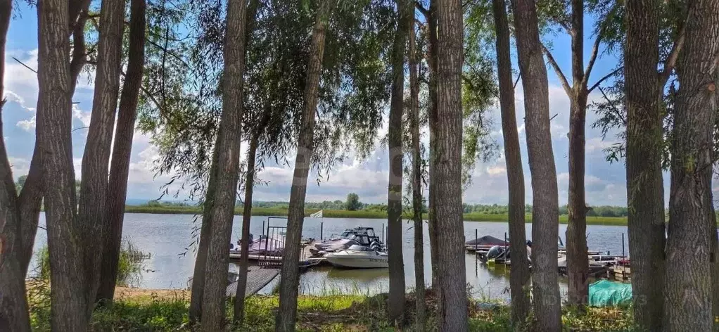 Участок в Татарстан, Лаишевский район, Нармонское с/пос, 220503 кв-л  ... - Фото 1