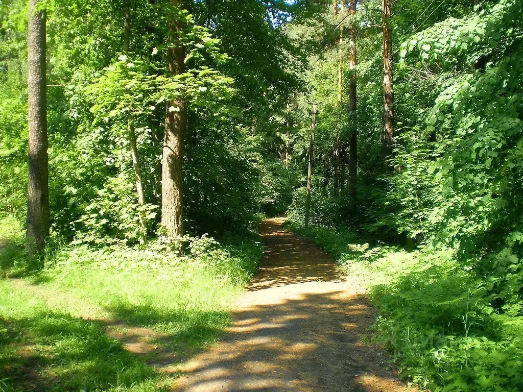 Участок в Ленинградская область, Всеволожск Ждановские Озера мкр,  ... - Фото 2