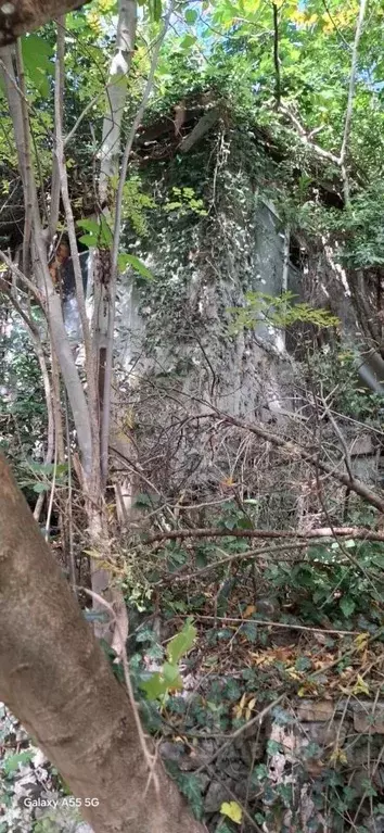 Участок в Крым, Ялта ул. Мошкарина, 9 (8.5 сот.) - Фото 1