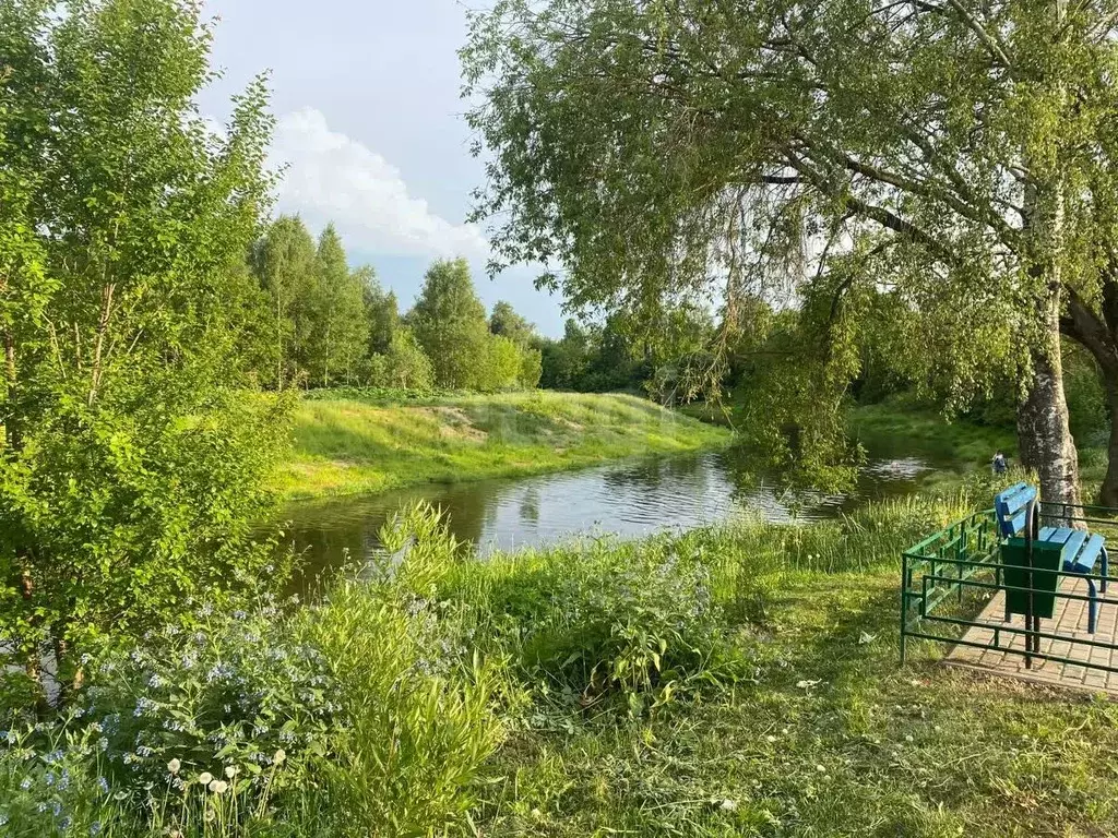 Участок в Московская область, Химки городской округ, д. Шемякино 9 ... - Фото 1