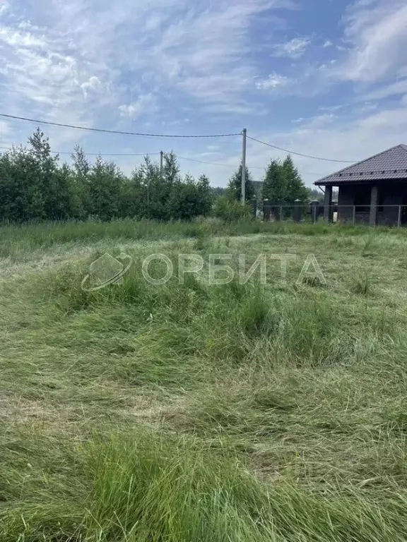 Участок в Тюменская область, Тюменский муниципальный округ, д. Якуши ... - Фото 2