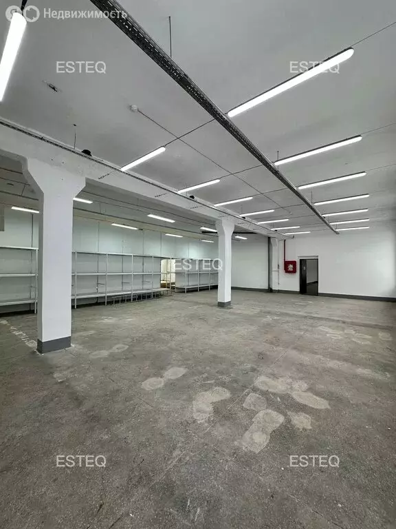 Склад (343.5 м) - Фото 2