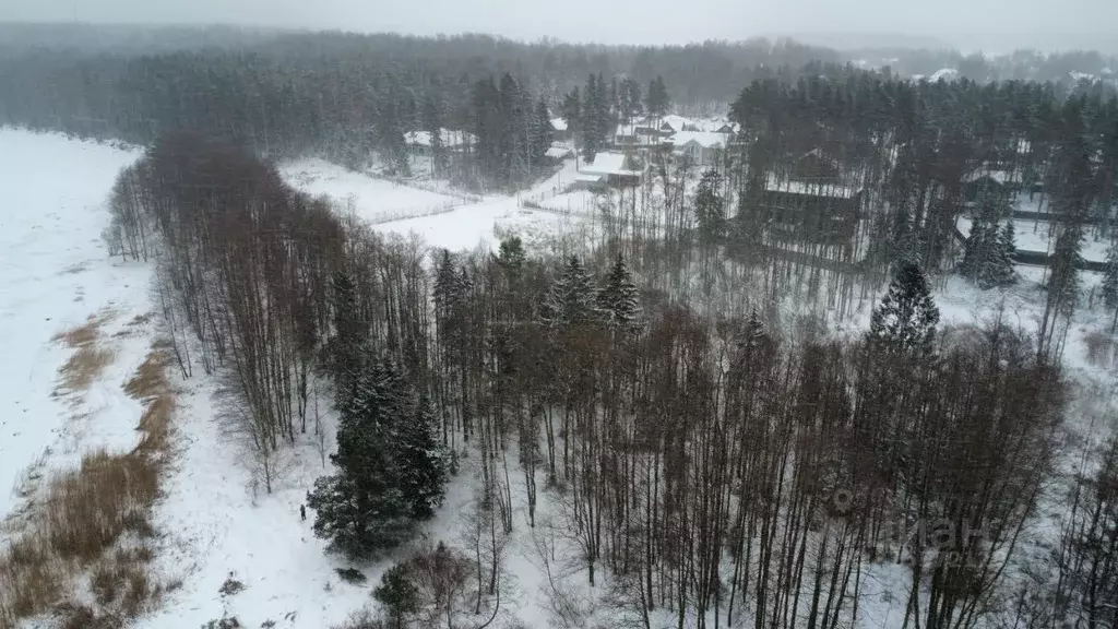 Участок в Ленинградская область, Ломоносовский район, Лебяженское ... - Фото 1