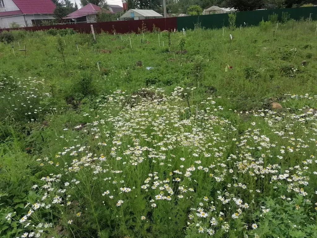 Участок в Тверская область, Кимрский муниципальный округ, Чайка ... - Фото 1