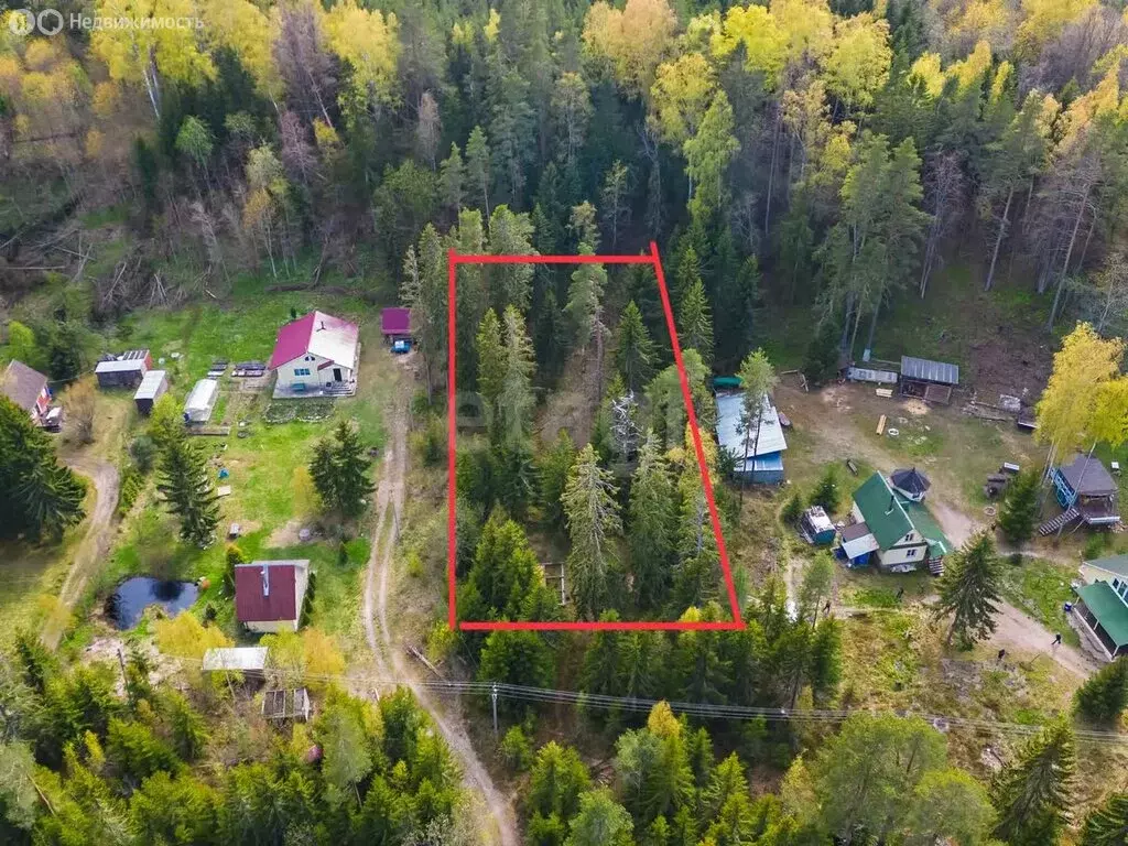 Участок в Вистинское сельское поселение, садоводческое некоммерческое ... - Фото 1
